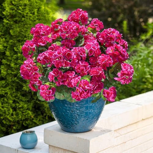 Artificial Geranium Fake Flowers for Outdoors Decoration, 6 Bundles Silk Geraniums Flower UV Resistant Look Real Faux Plants for Outside Planter Front Door Garden Patio Balcony Yard Home, Fuchsia