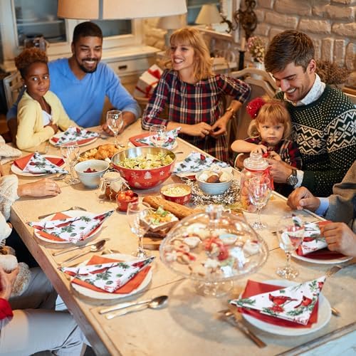 Qeeenar 12 Pcs Red Cardinal Cloth Napkins 20x20 Washable Dinner Party Decor