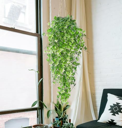 RECUTMS Artificial Hanging Plant Faux Ivy Vine with White UV Resistant Leaf