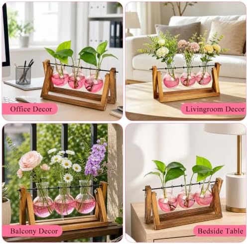 XXXFLOWER Plant Terrarium Kit with Wooden Stand 3 Gradient Pink Bulb Vases