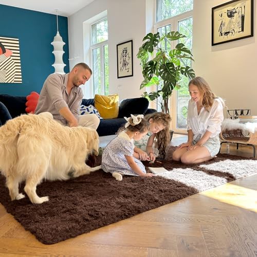 OLANLY 7x10 Machine Washable Large Area Rugs for Living Room, Bedroom, Soft Fluffy Shaggy Bedside Rug, Indoor Floor