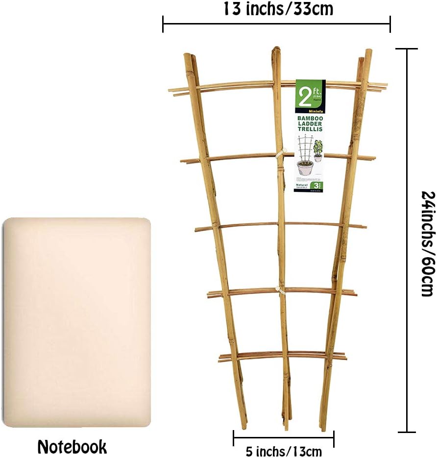 Natural Bamboo Trellis 24 Inches Tall, Mininfa Garden Ladder Trellis, Plant for Climbing Plants, Vegetables, Pots - 3