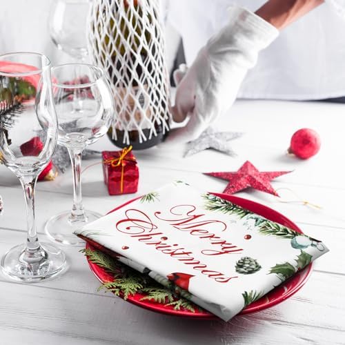 Qeeenar 12 Pcs Red Cardinal Cloth Napkins 20x20 Washable Dinner Party Decor