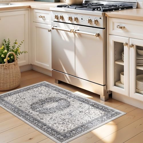 Washable 2x3 Entryway Area Rug: Vintage Soft Thin Door Mat with Non Slip Backing Water Resistant Carpet for Bedroom Low