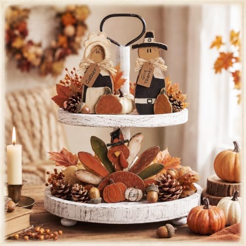 Cinnvoice 3 Pcs Fall Decorations Thanksgiving Pilgrim Turkey Tabletop Signs