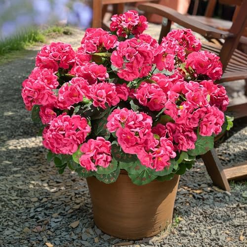 Artificial Geranium Fake Flowers for Outdoors Decoration, 6 Bundles Silk Geraniums Flower UV Resistant Look Real Faux Plants for Outside Planter Front Door Garden Patio Balcony Yard Home, Hot Pink