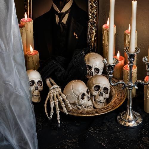 Fun Express White Plastic Realistic Skeleton Skulls, 5 Inch, 12 Pack