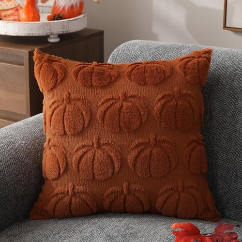 DFXSZ Fall Pillow Covers 16x16 2Pcs Rust Pumpkin Fall Decorations for Home