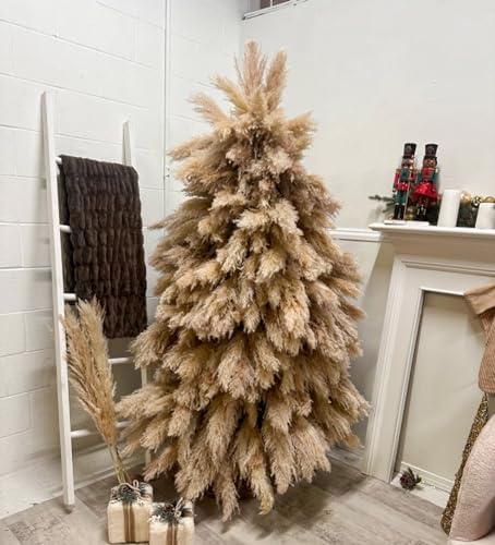 Tall Pampas Grass / Natural / Set of 20