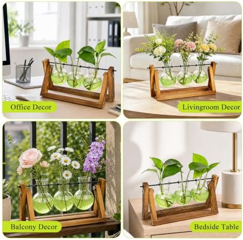XXXFLOWER Plant Terrarium Kit with Wooden Stand 3 Gradient Green Bulb Vases