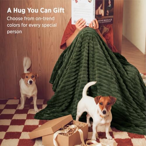 Bedsure Soft Green Throw Blanket for Decor Gifts 50"x70"