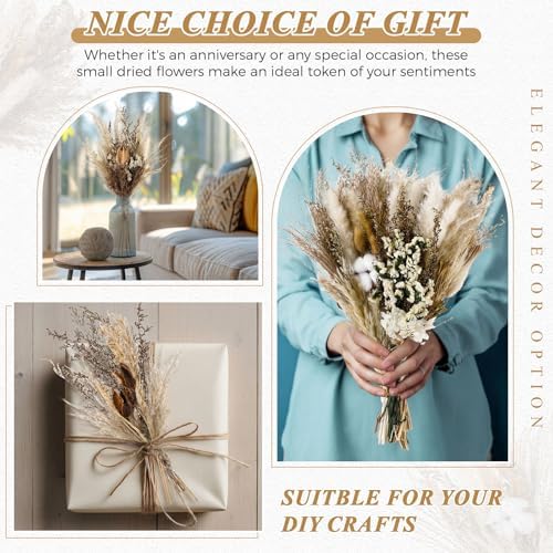Layhit 8 Pack Large Size Boho Dried Flowers 15-17 Inch, Classic