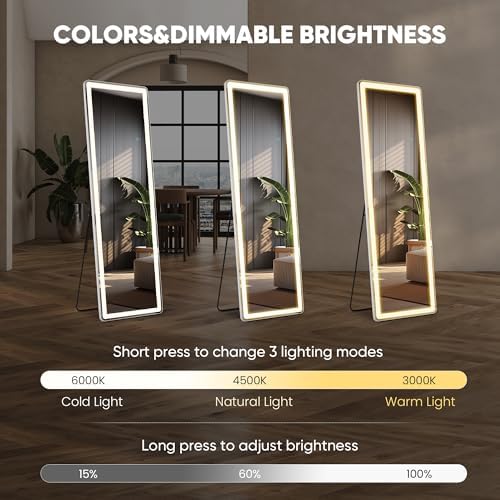 DUMOS Full Length Mirror Lighted, 16"x60" LED Floor Standing Mirror