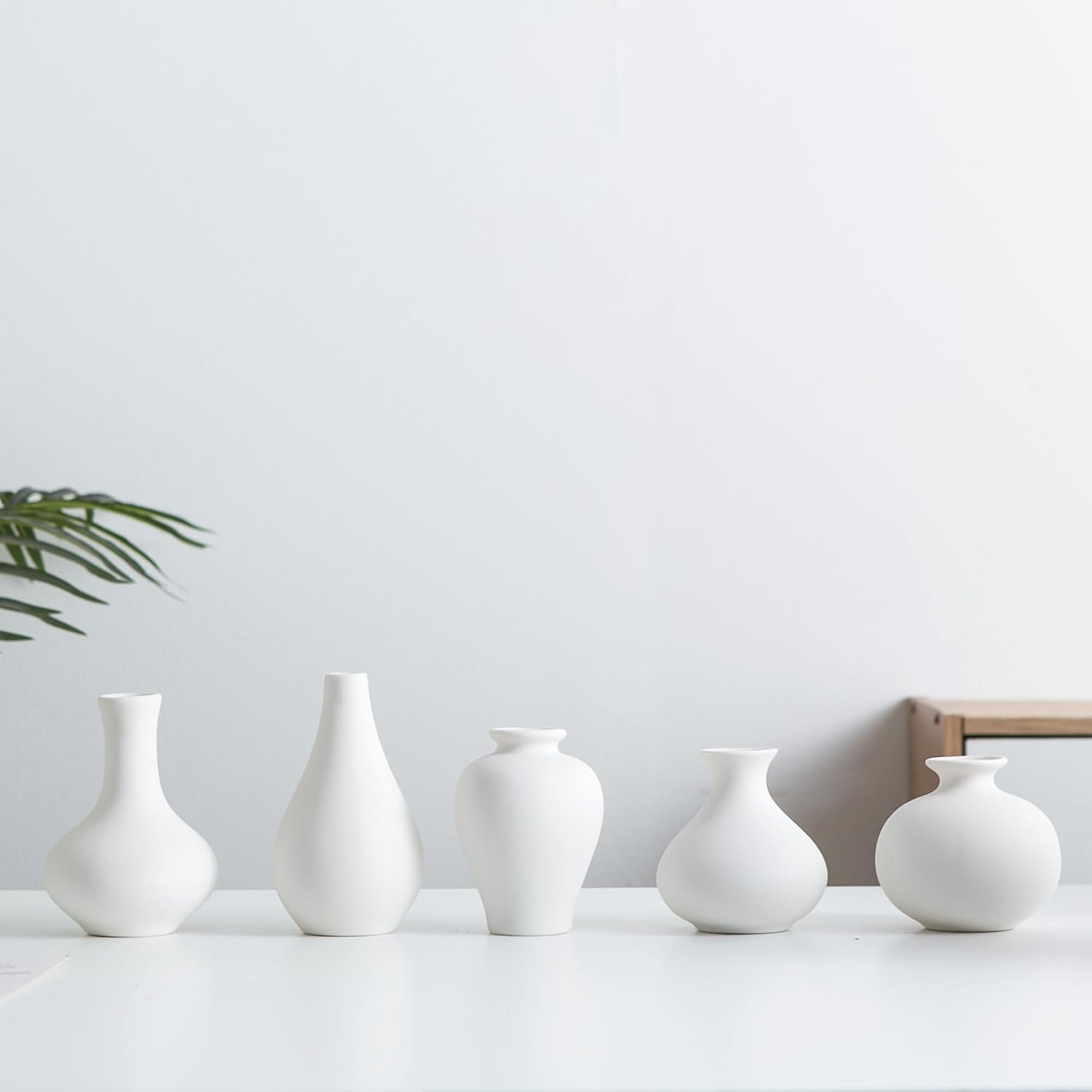 Modern White Vase / White Small Vase / Set of 5