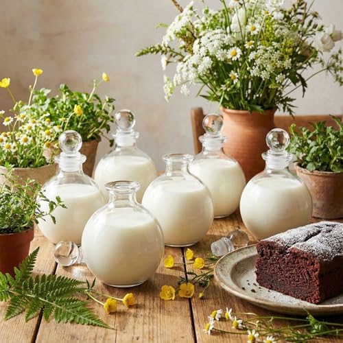 Tessco for you 1 Pcs 8.5 oz Glass Potion Bottles with Cork, Round Spherical Apothecary & Decorative Bottles for Candy, Spices, Vanilla Extract, Wish Messages, Snow Globe & DIY Crafts (Stylish)