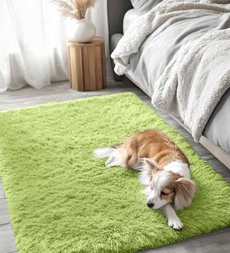OLANLY 3x5 Machine Washable Small Bedside Rug, Soft Fluffy Shaggy Rugs for Living Room, Bedroom, Indoor Floor Carpet