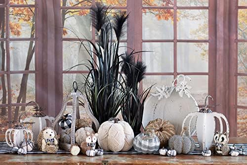 Boston International Pumpkin Décor Autumn & Fall Decorations, Large, Woven Cream