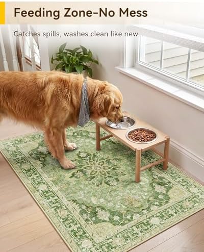 RELEANY Washable Area Rug, Small 2'x3', Green/Yellow