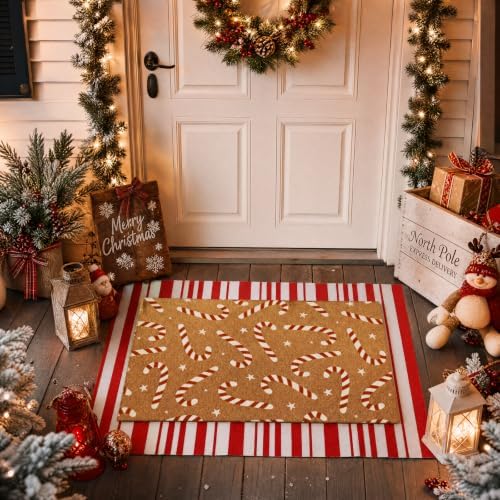 Tinideya 2 Pcs Christmas Layered Doormat Set, Candy Cane