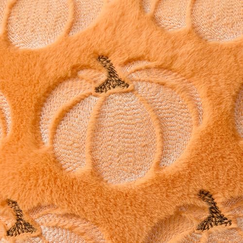 DFXSZ Fall Pillow Covers 20x20 Orange Pumpkin Plush Autumn Home Decor 93D20