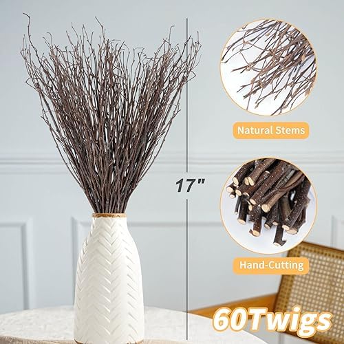 60Pcs Real Dried Birch Twigs Branches 16 Natural Decorative Birch Branches