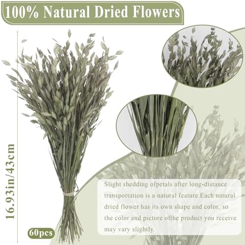 60 Pcs Dried Plants Wild Northern Sea Oats Grass Bundle 17" Preserved Natural Chasmanthium Olive Green Dried Flower Bouquet for Vase DIY Floral Arrangements Weddings Party Home Table Decor