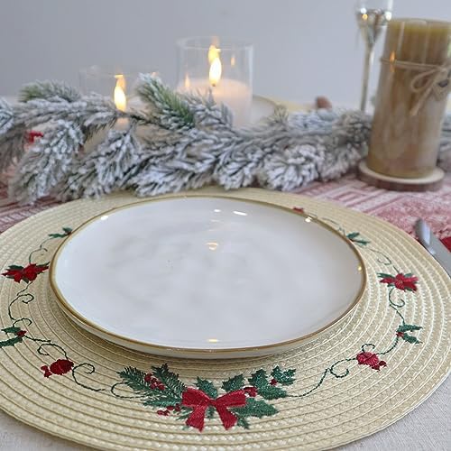 LaneVines Christmas Placemats Set of 4 Round Placemats Christmas