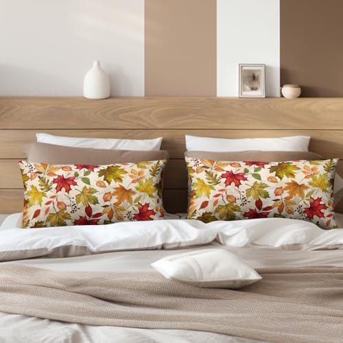 Fall Leaves Pillow Covers 12x20 Set of 2 Maple Leaf Autumn Lumbar Throw Pillows Seasonal Thanksgiving Harvest Pillowcase Rustic Farmhouse Cushion Case for Outdoor Couch Porch Patio