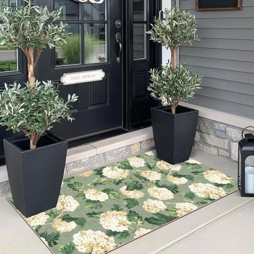 Front Door Mat Indoor Entrance - 2x4.3 Sage Green Beige Floral Rug