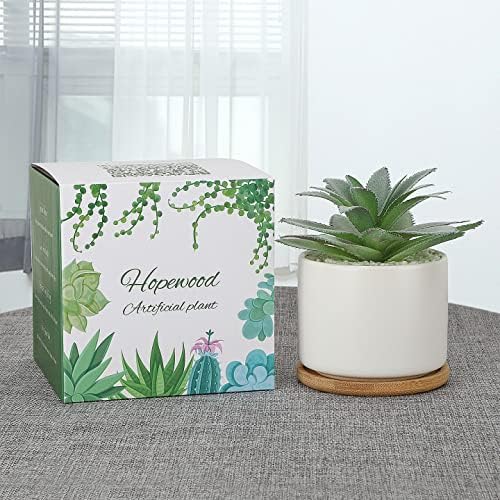 Succulent Plants Artificial / Agave 1 Piece