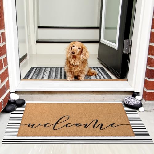 Tinideya 2 Pcs Fall Welcome Doormat Set for Front Door