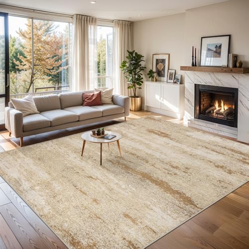 PLHXFR Area Rug Living Room: 5x7 Modern Abstract Washable Carpet Beige