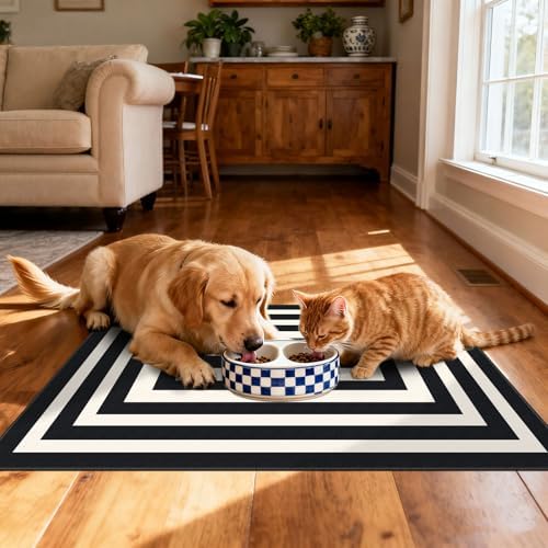 Front Door Mat Indoor Outside Entrance, 2x3 Modern Black White Rug