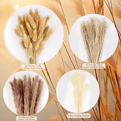Pampas Grass Decor, Dried Flowers Bouquet for Boho Home Farmhouse Decor
