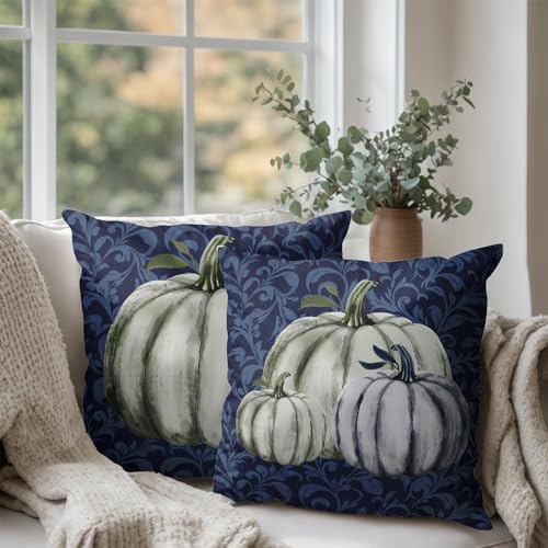 Fall Decorative Throw Pillow Covers 20 x 20 Inch Set of 2 Navy Blue White Pumpkin Outdoor Pillow Covers Autumn Thanksgiving Harvest Cushion Case for Farmhouse Living Room Decor