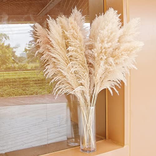 Tall Pampas Grass / Natural / Set of 10