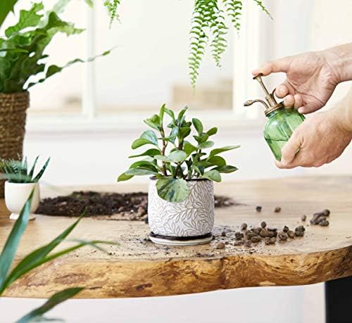 D'vine Dev Embossed Leaves Ceramic Planter, 4 in, Smoked White, 27-A-Z-1
