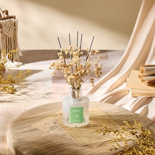Airkeep Reed Diffuser Set,3.38 fl oz (100 ml) - White Tea Oil Diffusers with 8 Reed Sticks, Home Fragrance Reed