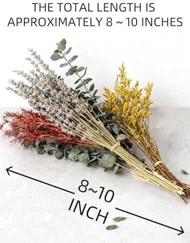12 Kind Dried Flowers Set - Including Lavender, Eucalyptus, Wheat, Bunny Tails, Handmade for DIY Crafts, Vase Decor, Wedding/Home/Birthday/Seasonal Decor