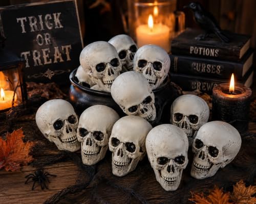 Fun Express White Plastic Realistic Skeleton Skulls, 5 Inch, 12 Pack