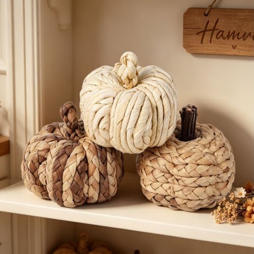 Lulu Home Set of 3 Handwoven Pumpkins Decor