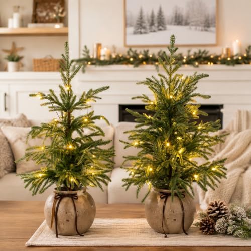 2 Pack 2FT Artificial Norfolk Pine Tree, abletop Decor Plants