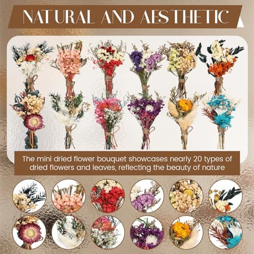 Layhit 12 Pcs Mini Dried Flower Bouquet Boho for Wedding,Colorful