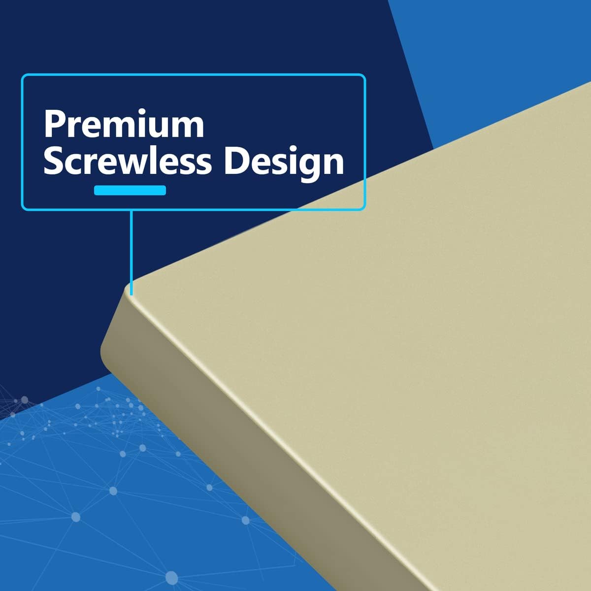 LIDER Double Blank Wall Plate, Screwless Design, Midsize, 2-Gang, 10-Pack | Temperature And Impact Resistant, Matte