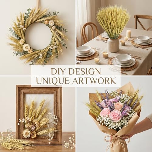 Sukh 50 Stems Dried Wheat Stalks for Vase - Cyan Wheat Straw Decor 13.3 in