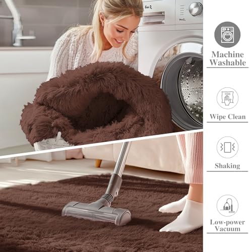 OLANLY 5x7 Machine Washable Large Area Rugs for Living Room, Bedroom, Soft Fluffy Shaggy Bedside Rug, Indoor Floor
