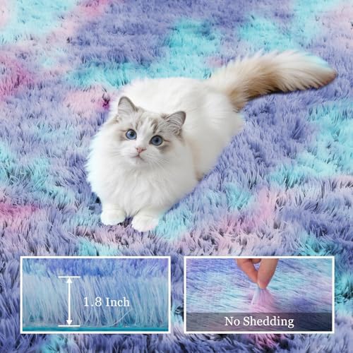 Area Rug Living Room Bedroom: 5x7 Fluffy Plush Shag Carpet Rainbow