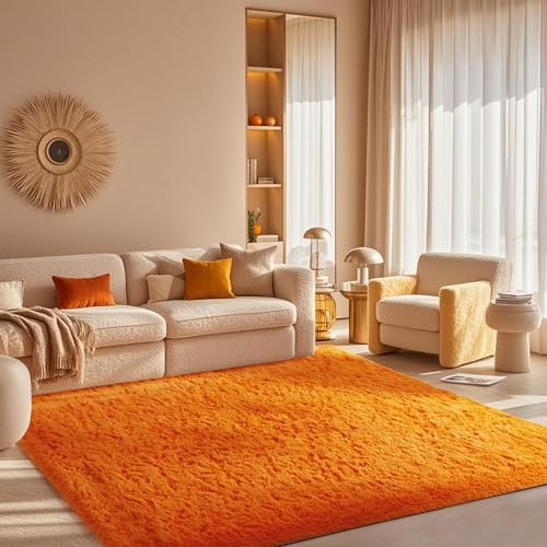 Ophanie Orange Fall Rugs for Bedroom Living Room,Fluffy Fuzzy Furry Carpet,Plush Soft Shaggy Bedside Indoor Floor 4x6