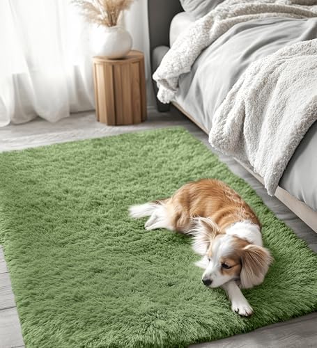 OLANLY 3x5 Machine Washable Small Bedside Rug, Soft Fluffy Shaggy Rugs for Living Room, Bedroom, Indoor Floor Carpet