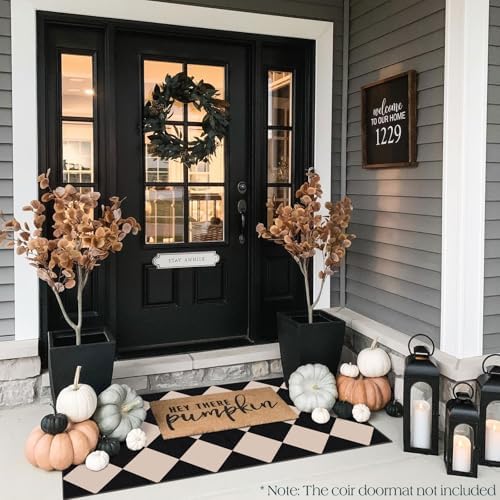 Front Door Mat Indoor Entrance - 2x4.3 Ft Black Tan Checkered Rug